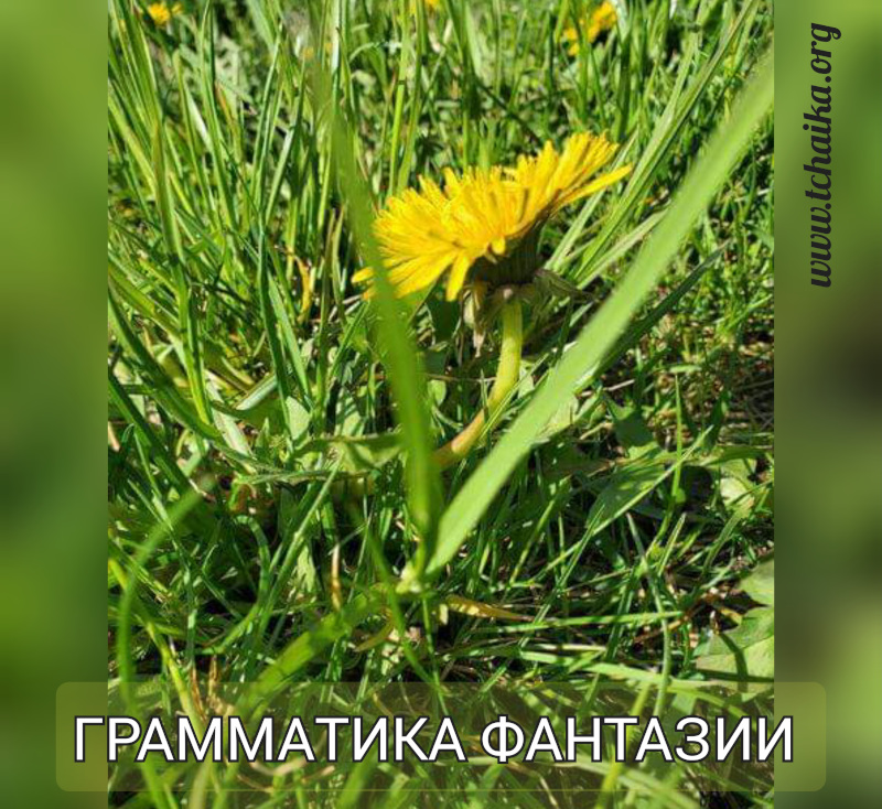 Грамматика фантазии